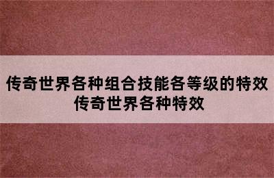 传奇世界各种组合技能各等级的特效 传奇世界各种特效